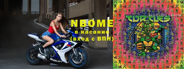 стаф Алексин